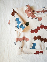 Lade das Bild in den Galerie-Viewer, Sweater - Raupe Nimmersatt
